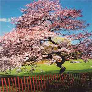 A Reminiscent Drive - Mercy Street download flac mp3