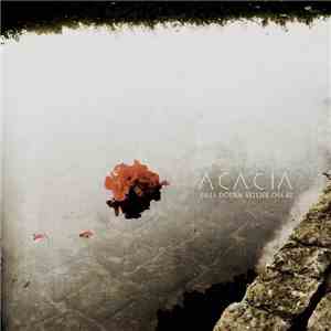 Acacia  - Tills Döden Skiljer Oss Åt download flac mp3