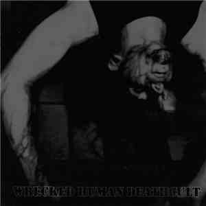 Lost Life - Wrecked Human Deathcult download flac mp3
