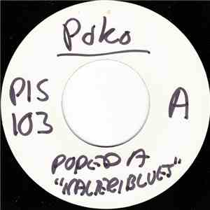 Popeda - Kalteri Blues download flac mp3