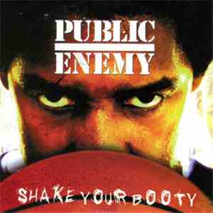 Public Enemy - Shake Your Booty download flac mp3