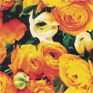 A House - No More Apologies download flac mp3