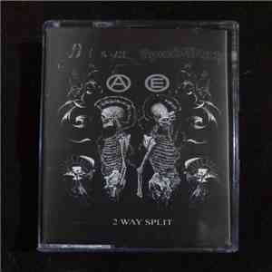 Dism  / Speedwitch  - 2 Way Split download flac mp3