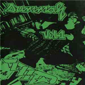 Rob One - Summah Volume One 1994 download flac mp3