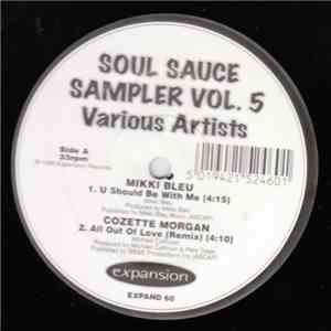 Various - Soul Sauce Sampler vol. 5 download flac mp3
