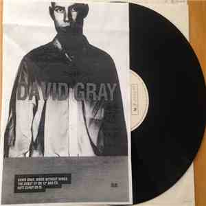 David Gray - Birds Without Wings download flac mp3