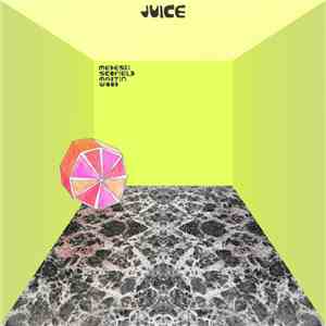Medeski Scofield Martin & Wood - Juice download flac mp3