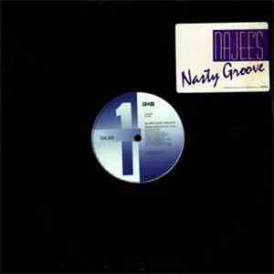 Najee - Najee's Nasty Groove download flac mp3