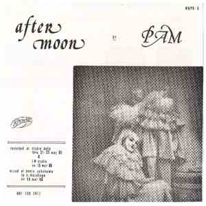P.A.M.  - After Moon download flac mp3