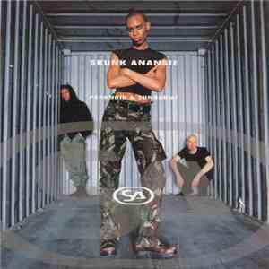Skunk Anansie - Paranoid & Sunburnt download flac mp3