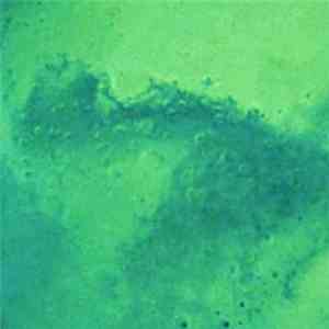 Cosmic Voyager  - Signs Of Life (Remastered) download flac mp3