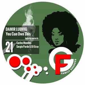 Damir Ludvig - You Can Own This download flac mp3