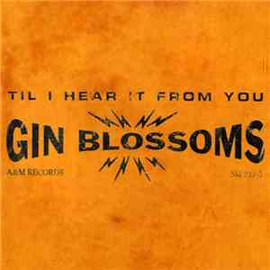 Gin Blossoms - Til I Hear It From You download flac mp3