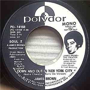 James Brown - Down And Out In New York City download flac mp3