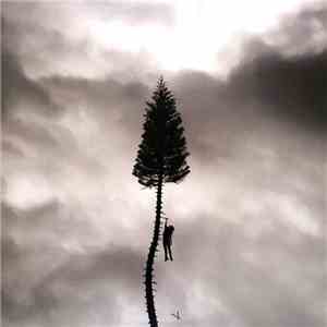 Manchester Orchestra - A Black Mile To The Surface download flac mp3