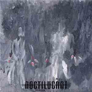 Noctilucant - There's Blood on our Hands download flac mp3