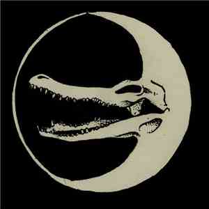 Shjjjt Lizard - Fix On You download flac mp3