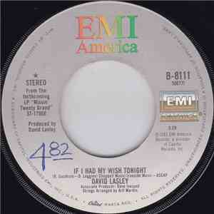David Lasley - There's Got To Be Somebody / If I Had My Wish Tonight download flac mp3