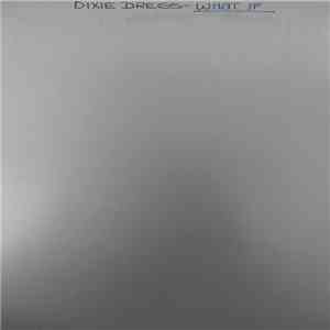 Dixie Dregs - What If download flac mp3