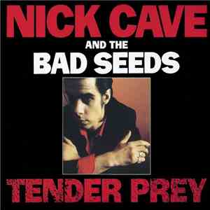 Nick Cave And The Bad Seeds - Tender Prey download flac mp3
