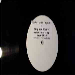Roberto Q. Ingram & Stephan Riedel - Moody Water Ep download flac mp3