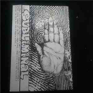 Subliminal  - What's The Meaning? download flac mp3