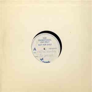 The Specials - Nelson Mandela download flac mp3