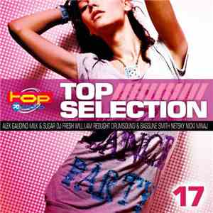 Various - Top Selection 17 download flac mp3