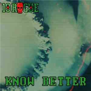 10Rogue, Peter Evrard, Stan Verfaillie - Know Beter download flac mp3