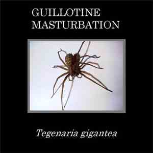 Guillotine Masturbation - Tegenaria Gigantea download flac mp3