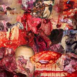 Harmonious Tones of Shattered Bones - Putrid Liquidization of Imploded Urethra download flac mp3