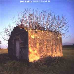 Joe Lally - There To Here download flac mp3
