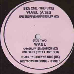 Wael - Had Enuff download flac mp3