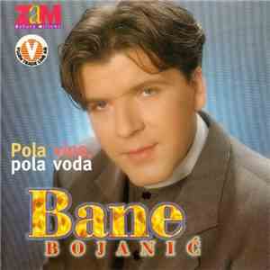 Bane Bojanić - Pola Vino, Pola Voda download flac mp3