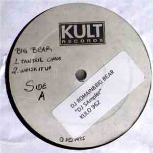 Big Bear  / DJ Romain - DJ Sampler download flac mp3