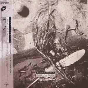 David Sylvian - Secrets Of The Beehive download flac mp3