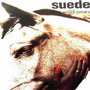 Suede - The Wild Ones download flac mp3