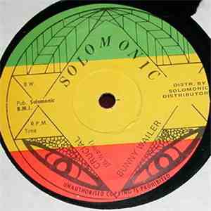 Bunny Wailer - Crucial download flac mp3