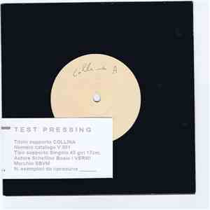 I Vermi - Collina download flac mp3