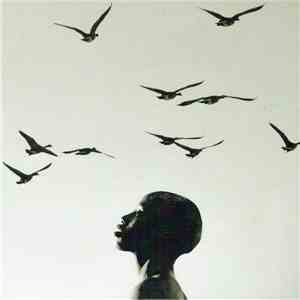 Island  - Spotless Mind download flac mp3
