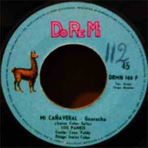 Los Pankis - Mi Cañaveral / La Pollera download flac mp3