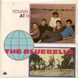 The Bluebells - Young At Heart download flac mp3
