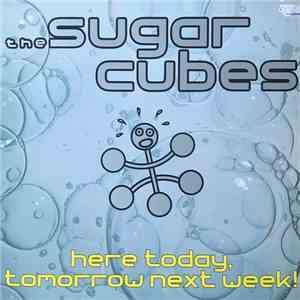 The Sugarcubes - Here Today, Tomorrow Next Week! download flac mp3