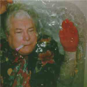 The World Is A Beautiful Place & I Am No Longer Afraid To Die - Death to New Years download flac mp3