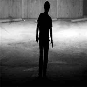 The Zoltars - Walking Through The Dark download flac mp3