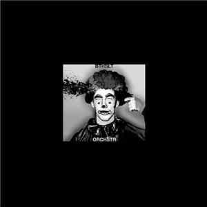 Bathsalt Orchestra - BTHSLT ORCHSTR download flac mp3