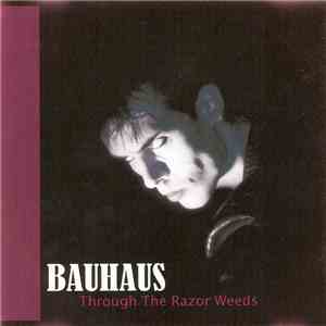 Bauhaus - Through The Razor Weeds download flac mp3