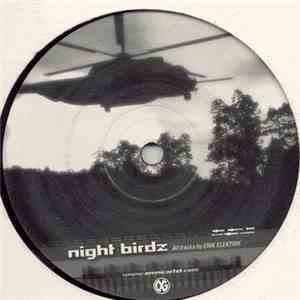 Erik Elektrik - Night Birdz download flac mp3