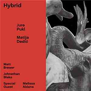 Jure Pukl, Matija Dedić - Hybrid download flac mp3