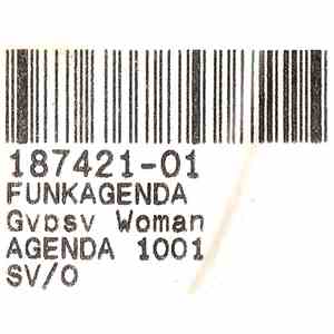 Crystal Waters / Mindtrap - Gypsy Woman / Much Better Man download flac mp3